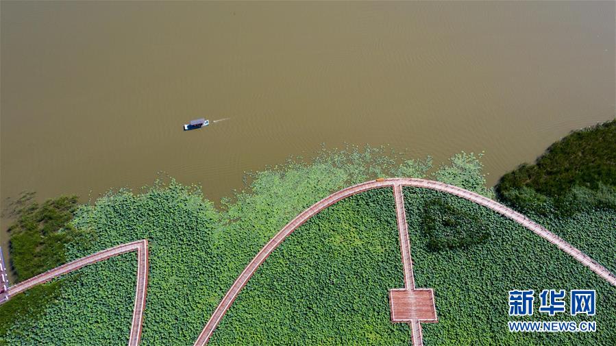 （在習(xí)近平新時代中國特色社會主義思想指引下&mdash;&mdash;新時代新作為新篇章&middot;習(xí)近平總書記關(guān)切事&middot;圖文互動）（8）綠色映底蘊(yùn)，山水見初心&mdash;&mdash;生態(tài)優(yōu)先、綠色發(fā)展持續(xù)造福群眾美好生活