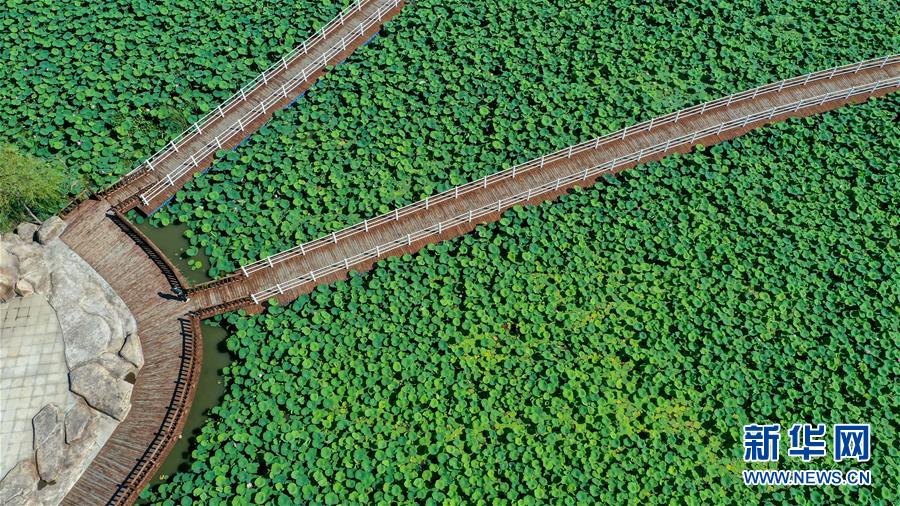 （在習(xí)近平新時代中國特色社會主義思想指引下&mdash;&mdash;新時代新作為新篇章&middot;習(xí)近平總書記關(guān)切事&middot;圖文互動）（9）綠色映底蘊(yùn)，山水見初心&mdash;&mdash;生態(tài)優(yōu)先、綠色發(fā)展持續(xù)造福群眾美好生活