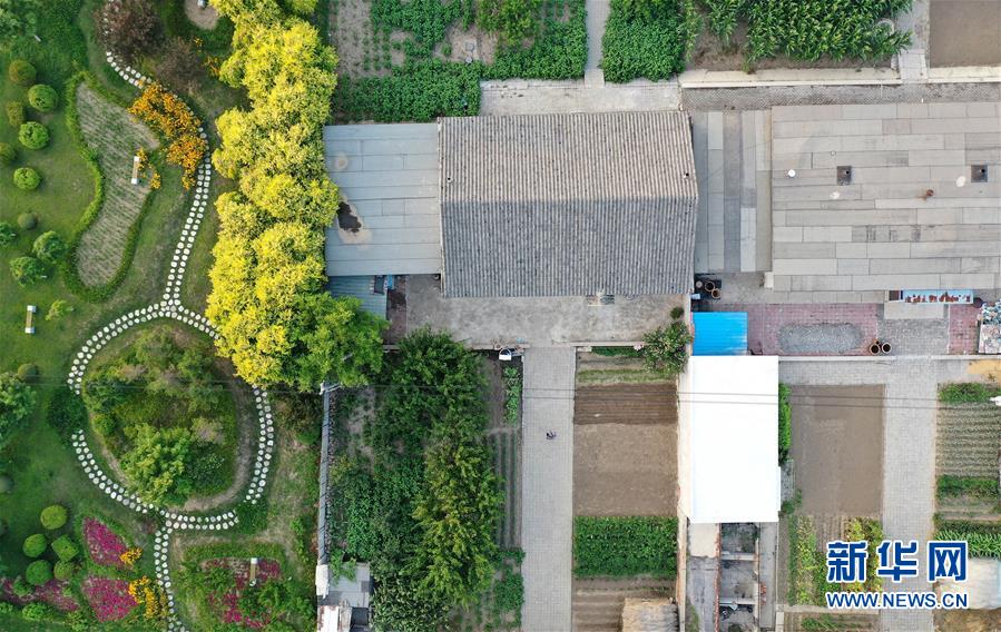 （新華全媒頭條&middot;走向我們的小康生活&middot;圖文互動(dòng)）（1）&ldquo;南大荒&rdquo;變&ldquo;稻蟹鄉(xiāng)&rdquo;&mdash;&mdash;資源枯竭型城市盤(pán)錦的鄉(xiāng)村振興之路