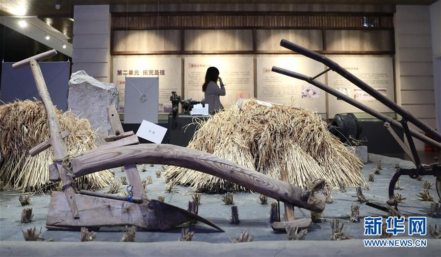 （新華全媒頭條&middot;走向我們的小康生活&middot;圖文互動(dòng)）（10）&ldquo;南大荒&rdquo;變&ldquo;稻蟹鄉(xiāng)&rdquo;&mdash;&mdash;資源枯竭型城市盤(pán)錦的鄉(xiāng)村振興之路