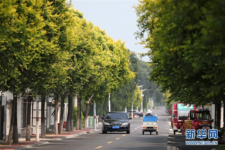 （新華全媒頭條&middot;走向我們的小康生活&middot;圖文互動(dòng)）（3）&ldquo;南大荒&rdquo;變&ldquo;稻蟹鄉(xiāng)&rdquo;&mdash;&mdash;資源枯竭型城市盤(pán)錦的鄉(xiāng)村振興之路