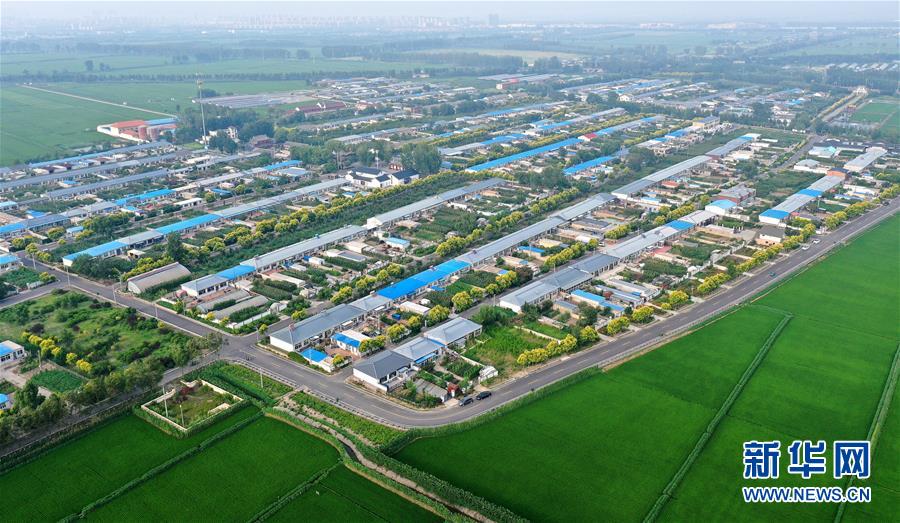 （新華全媒頭條&middot;走向我們的小康生活&middot;圖文互動(dòng)）（4）&ldquo;南大荒&rdquo;變&ldquo;稻蟹鄉(xiāng)&rdquo;&mdash;&mdash;資源枯竭型城市盤(pán)錦的鄉(xiāng)村振興之路