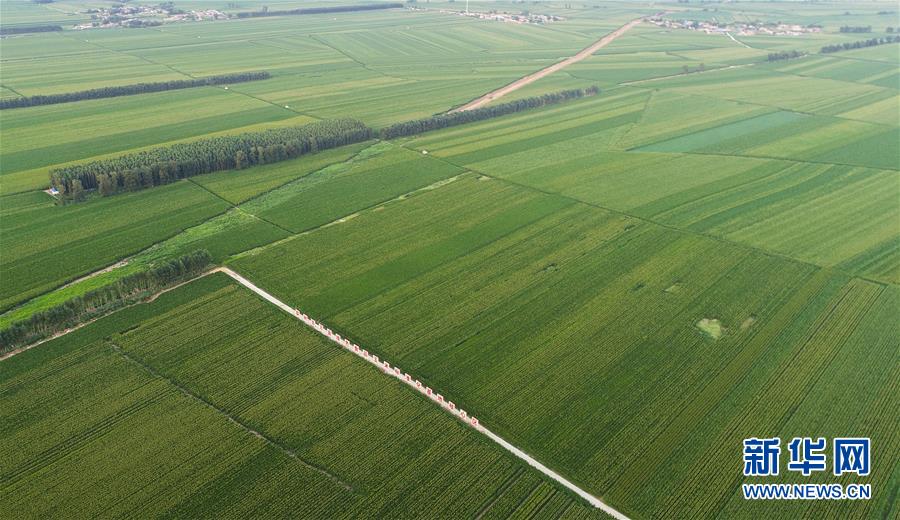 （在習近平新時代中國特色社會主義思想指引下&mdash;&mdash;新時代新作為新篇章&middot;習近平總書記關切事&middot;圖文互動）（2）為黑土加&ldquo;油&rdquo;&mdash;&mdash;&ldquo;耕地中的大熊貓&rdquo;，我們這樣保護