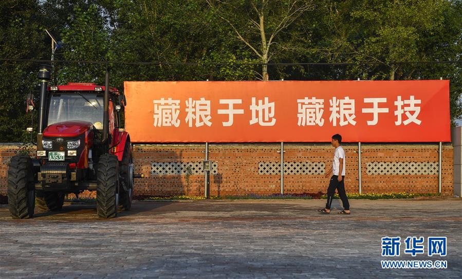 （在習近平新時代中國特色社會主義思想指引下&mdash;&mdash;新時代新作為新篇章&middot;習近平總書記關切事&middot;圖文互動）（3）為黑土加&ldquo;油&rdquo;&mdash;&mdash;&ldquo;耕地中的大熊貓&rdquo;，我們這樣保護