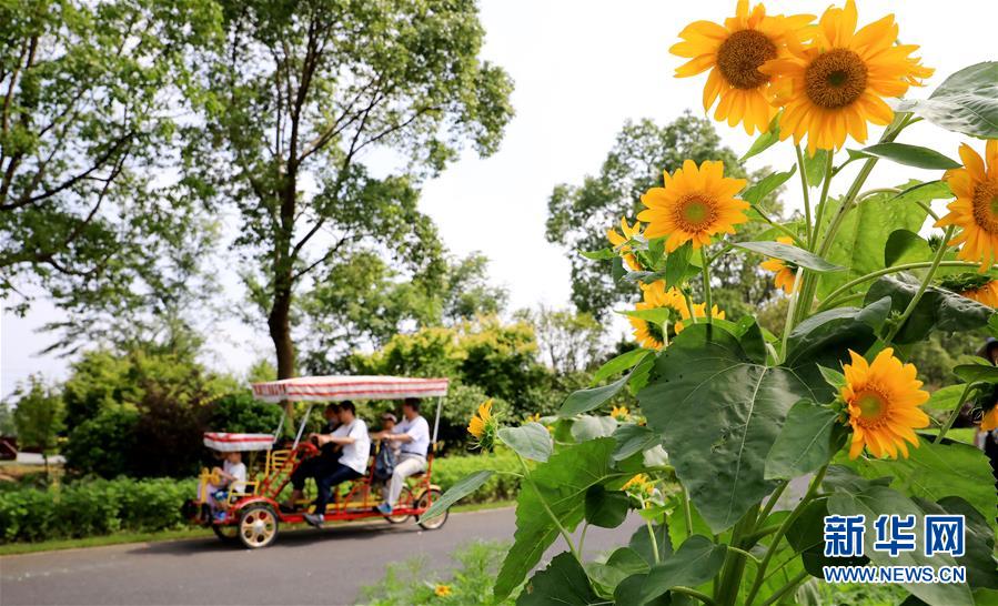 （新華全媒頭條&middot;走向我們的小康生活&middot;圖文互動）（13）城市，讓人民生活更美好