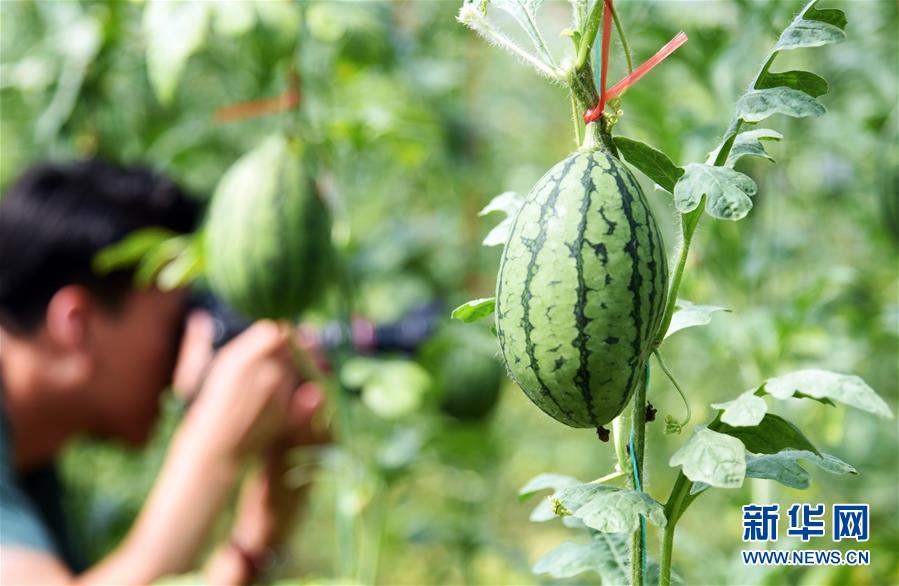 （新華全媒頭條&middot;走向我們的小康生活&middot;圖文互動(dòng)）（10）幸福小康入畫(huà)來(lái)&mdash;&mdash;齊魯大地描繪小康新畫(huà)卷