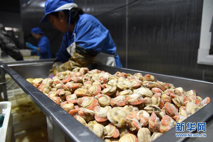 （走向我們的小康生活&middot;圖文互動）（1）長島漁民的扇貝喜事：從請客求人買到供不應求