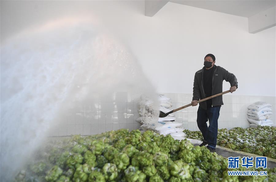 （新華全媒頭條&middot;走向我們的小康生活&middot;圖文互動）（6）大城大鄉的&ldquo;幸福協奏曲&rdquo;&mdash;&mdash;重慶推動高質量發展創造高品質生活紀事