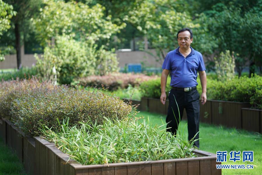 （圖文互動）（1）&ldquo;綠灰白&rdquo;破解城市內澇之&ldquo;囧&rdquo;