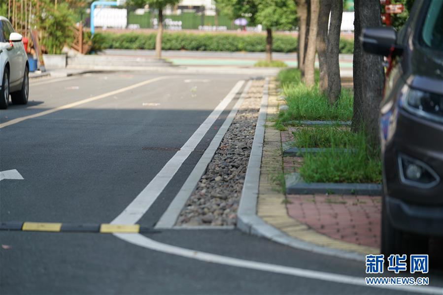 （圖文互動）（2）&ldquo;綠灰白&rdquo;破解城市內澇之&ldquo;囧&rdquo;