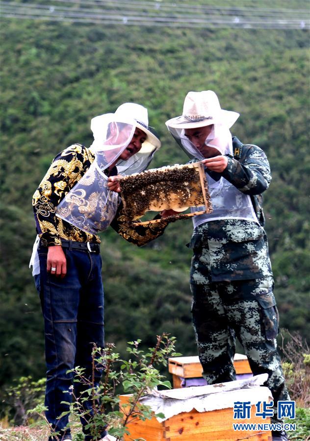 （圖文互動(dòng)）（6）大涼山之子&mdash;&mdash;記&ldquo;最美新時(shí)代革命軍人&rdquo;布哈
