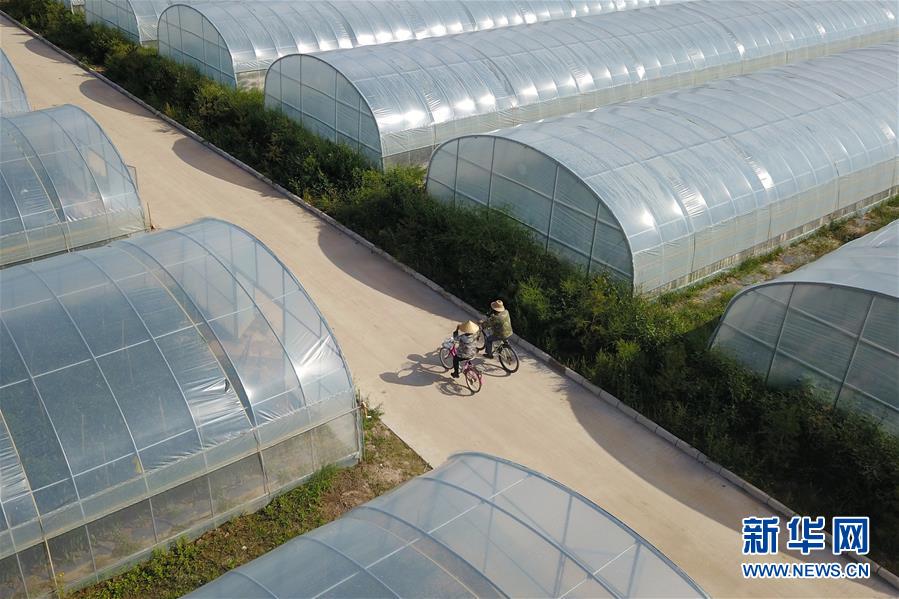 （走向我們的小康生活&middot;圖文互動）（3）&ldquo;荒涼&rdquo;土地掘金記&mdash;&mdash;甘肅旱作農業發展&ldquo;變奏曲&rdquo;