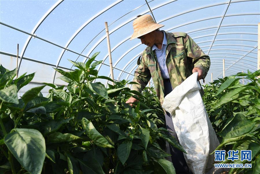 （走向我們的小康生活&middot;圖文互動）（2）&ldquo;荒涼&rdquo;土地掘金記&mdash;&mdash;甘肅旱作農業發展&ldquo;變奏曲&rdquo;