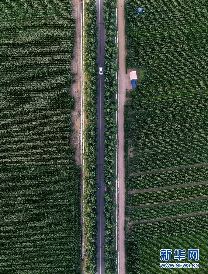 （新華全媒頭條&middot;圖文互動）（3）為現代農業探新路&mdash;&mdash;來自吉林梨樹的田野報告