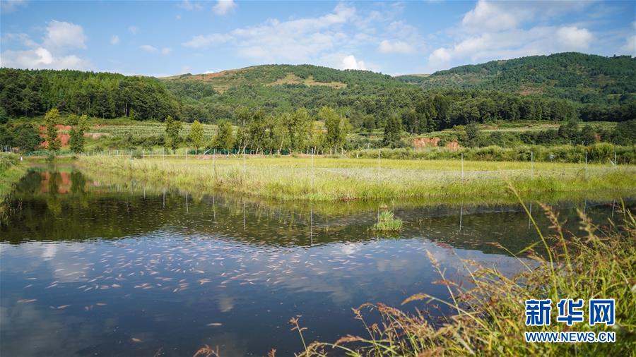 （新華全媒頭條&middot;決戰(zhàn)決勝脫貧攻堅(jiān)&middot;督戰(zhàn)未摘帽貧困縣&middot;圖文互動）（4）苦蕎花開大涼山&mdash;&mdash;四川7個未摘帽縣脫貧攻堅(jiān)一線觀察