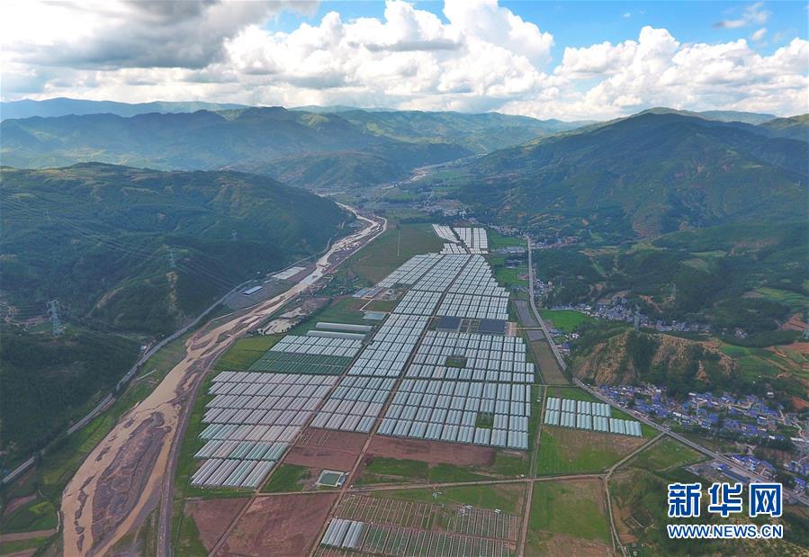 （新華全媒頭條&middot;決戰(zhàn)決勝脫貧攻堅(jiān)&middot;督戰(zhàn)未摘帽貧困縣&middot;圖文互動）（10）苦蕎花開大涼山&mdash;&mdash;四川7個未摘帽縣脫貧攻堅(jiān)一線觀察