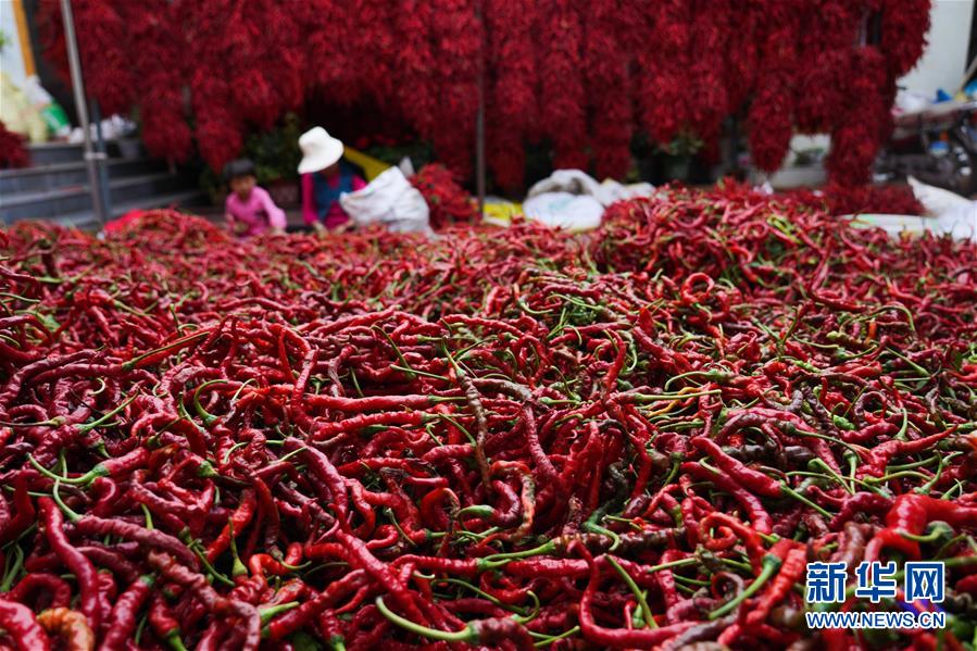 （走向我們的小康生活&middot;決戰(zhàn)決勝脫貧攻堅(jiān)&middot;圖文互動）（7）甘青交界處的跨越&mdash;&mdash;保安族、撒拉族的脫貧故事 