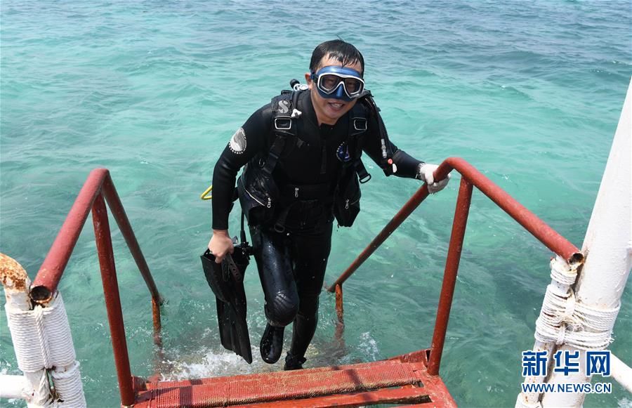 （在習(xí)近平新時代中國特色社會主義思想指引下&mdash;&mdash;新時代新作為新篇章&middot;習(xí)近平總書記關(guān)切事&middot;圖文互動）（5）終不悔為國為民，攀高峰只爭朝夕&mdash;&mdash;來自科學(xué)家們的動人故事