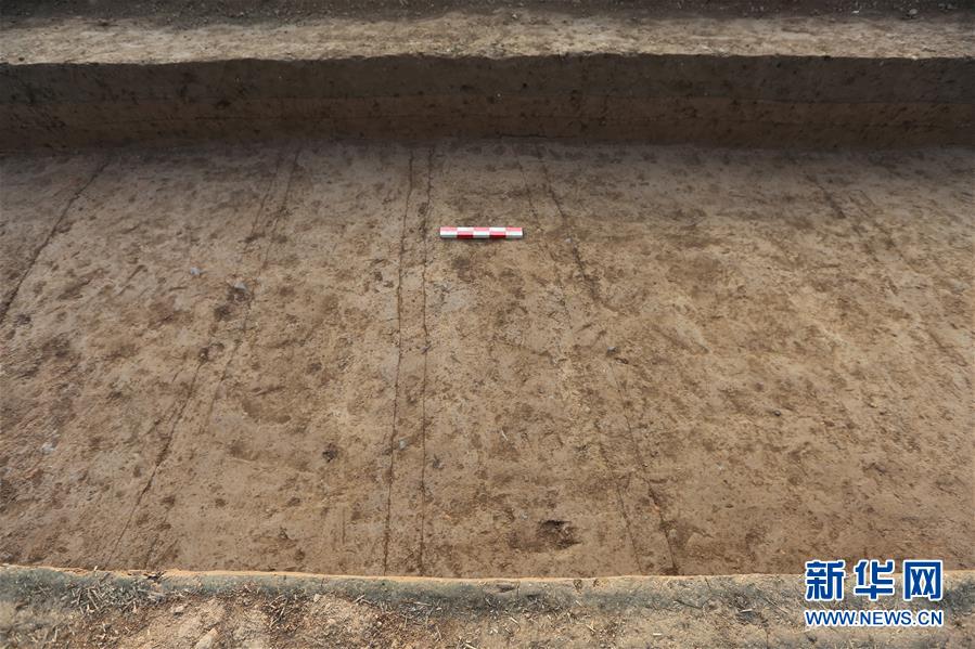 （圖文互動）（2）漢魏洛陽城東西向大道重現天日 見證500多年間王朝更迭