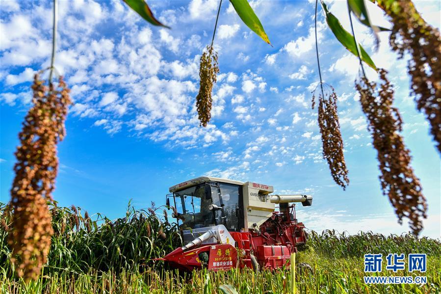 （新華全媒頭條&middot;圖文互動）（5）天道酬勤的大地贊歌&mdash;&mdash;寫在第三個中國農民豐收節之際