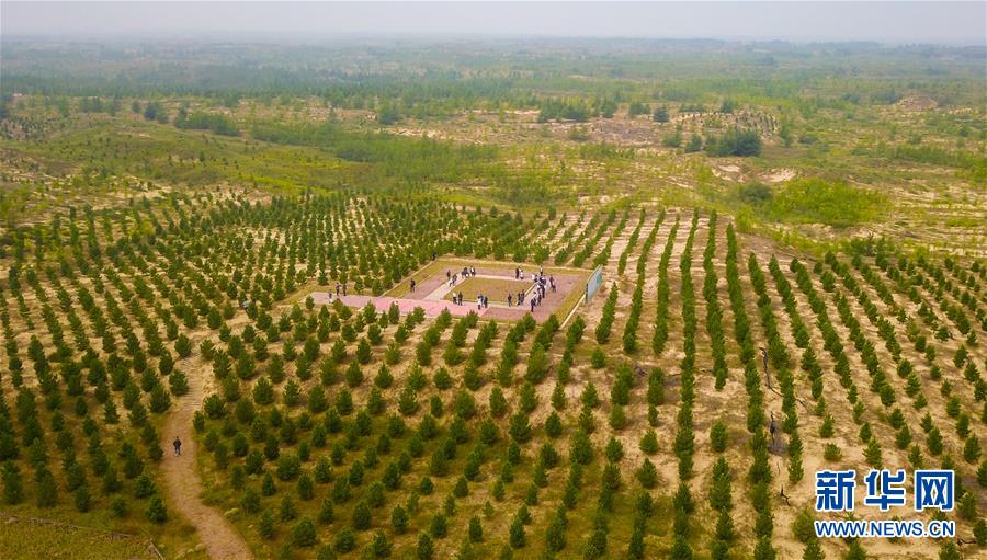 （在習近平新時代中國特色社會主義思想指引下&mdash;&mdash;新時代新作為新篇章&middot;習近平總書記關切事&middot;圖文互動）（2）綠意，在黃沙中鋪展&mdash;&mdash;我國防沙治沙紀實