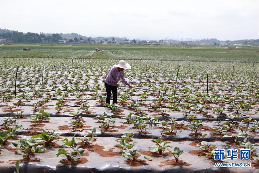 （新華全媒頭條&middot;走向我們的小康生活&middot;決戰(zhàn)決勝脫貧攻堅(jiān)&middot;圖文互動）（3）千年之渴今朝解&mdash;&mdash;貴州貧困群眾實(shí)現(xiàn)&ldquo;吃水不愁&rdquo;