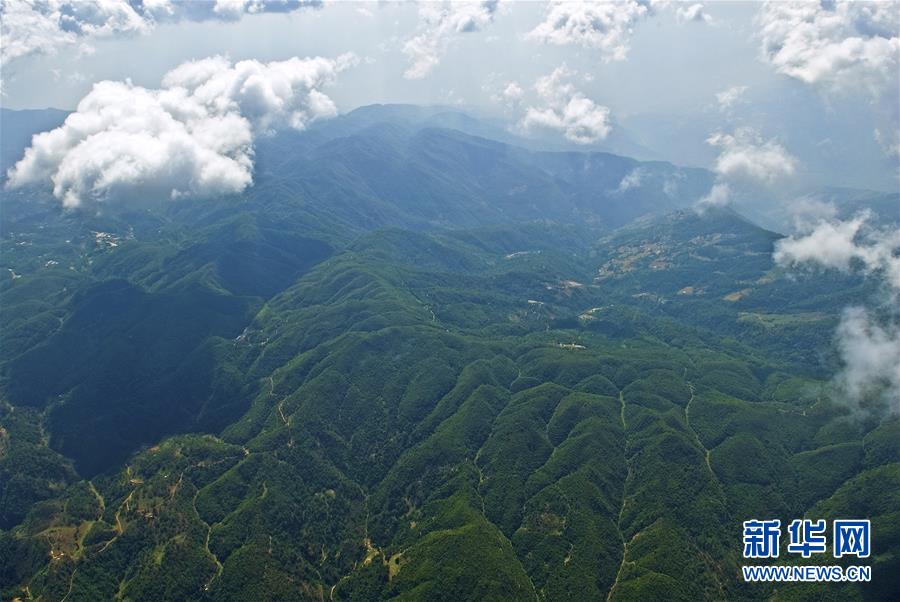 （熱點鮮報&middot;圖文互動）（1）善洲精神永相傳：留下一片綠洲 造福家鄉百姓
