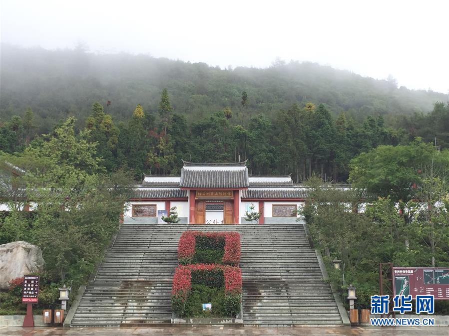 （熱點鮮報&middot;圖文互動）（5）善洲精神永相傳：留下一片綠洲 造福家鄉百姓