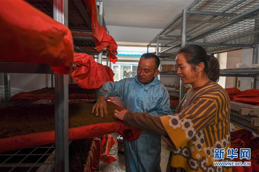 （決戰(zhàn)決勝脫貧攻堅&middot;圖文互動）（5）從&ldquo;因殘致貧&rdquo;到&ldquo;帶頭脫貧&rdquo;&mdash;&mdash;吉林靖宇有這樣一位&ldquo;脫貧英雄&rdquo;