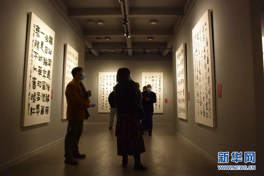 （新華網&middot;圖文互動）（3）&ldquo;黃河明珠&mdash;&mdash;龍門石窟國際書法名家邀請展&rdquo;開展