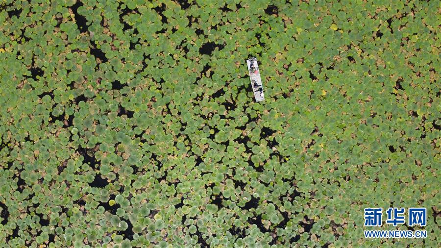 （新華全媒頭條&middot;圖文互動(dòng)）（3）長(zhǎng)淮新&ldquo;斗水&rdquo;記&mdash;&mdash;寫在新中國(guó)治淮70年之時(shí)