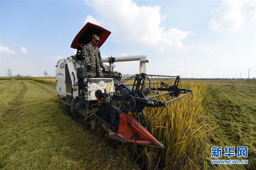 （新華全媒頭條&middot;圖文互動(dòng)）（7）長(zhǎng)淮新&ldquo;斗水&rdquo;記&mdash;&mdash;寫在新中國(guó)治淮70年之時(shí)