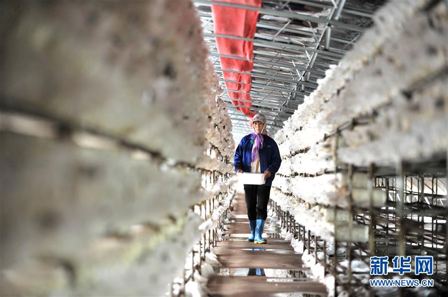 （習(xí)近平的小康故事&middot;圖文互動）（6）&ldquo;我很期盼的一件事，就是讓鄉(xiāng)親們飽餐一頓肉&rdquo;&mdash;&mdash;習(xí)近平和脫貧攻堅的故事