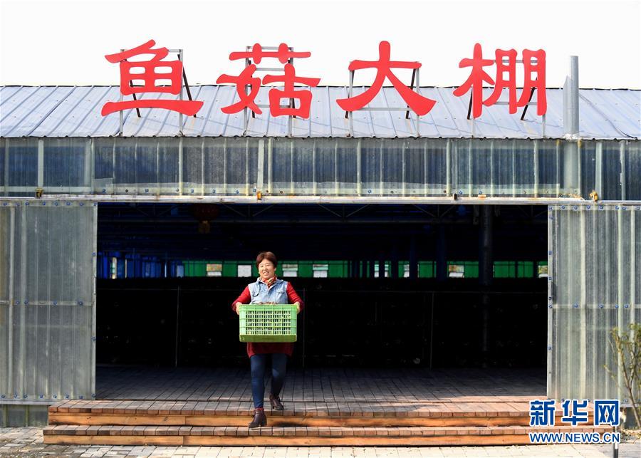 （決戰決勝脫貧攻堅&middot;圖文互動）（5）17代人追逐的夢想實現了&mdash;&mdash;記冀南平原劉秋口村變遷 