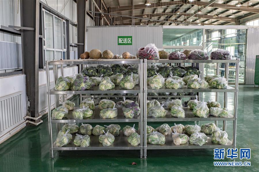 （聚焦疫情防控&middot;圖文互動）（1）把握先機 應對有序&mdash;&mdash;新疆疏附縣全力阻斷新冠肺炎病毒傳播