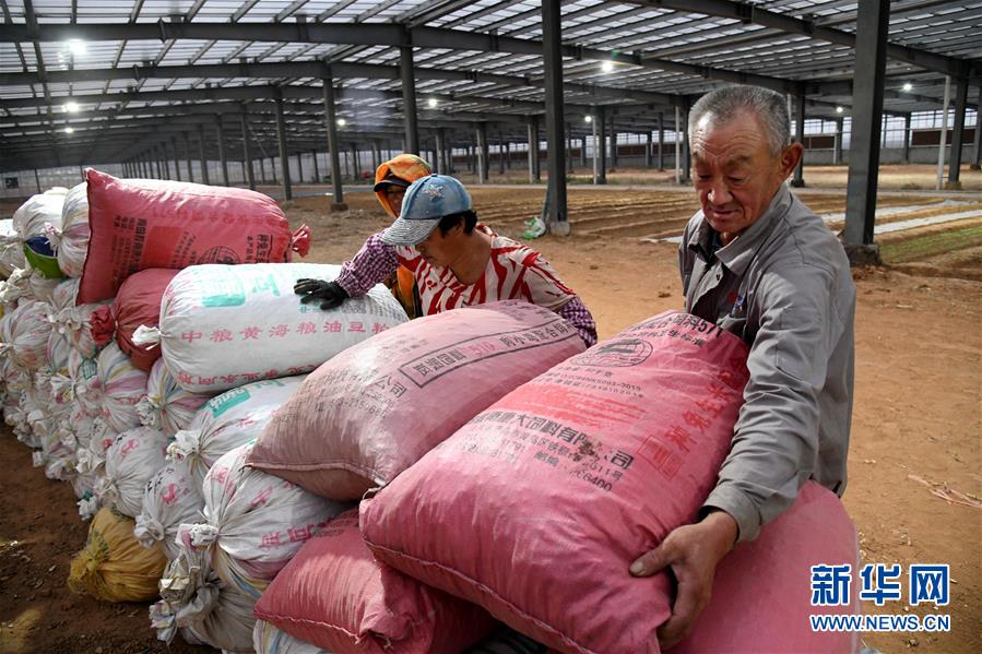 （全面建成小康社會&ldquo;百城千縣萬村調研行&rdquo;&middot;圖文互動）（6）青島西海岸新區以&ldquo;生態酵母&rdquo;激活鄉村振興