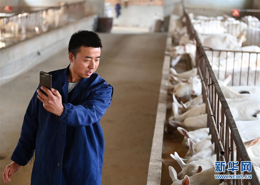 （新華全媒頭條&middot;五中全會精神在基層&middot;圖文互動）（12）奮發新青年　逐夢新征程&mdash;&mdash;各地青年學習貫徹落實五中全會精神觀察