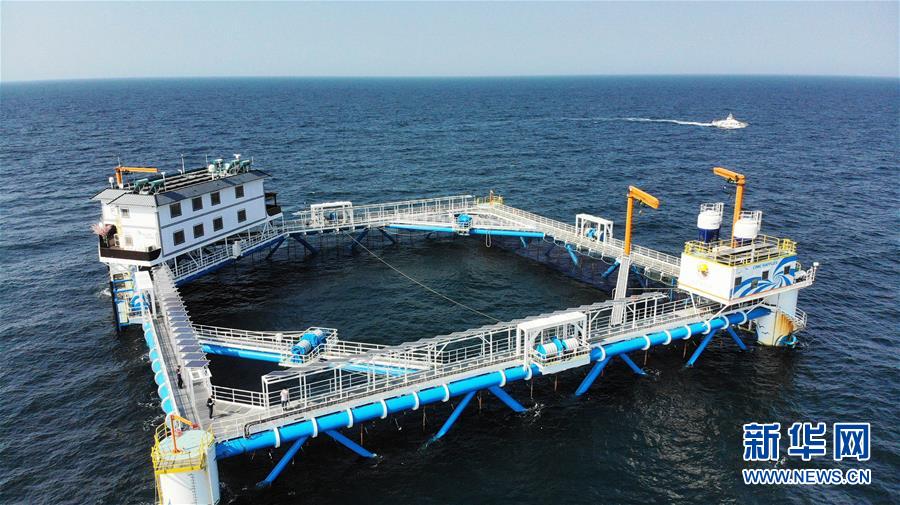 （新華全媒頭條&middot;圖文互動(dòng)）（1）&ldquo;拔&rdquo;海起牧場 &ldquo;耕&rdquo;海新牧歌