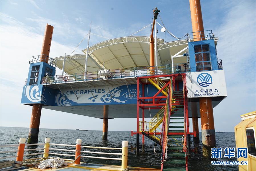 （新華全媒頭條&middot;圖文互動(dòng)）（9）&ldquo;拔&rdquo;海起牧場 &ldquo;耕&rdquo;海新牧歌