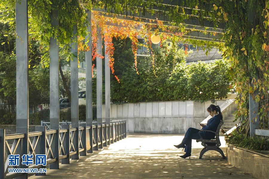 （全面建成小康社會(huì)&ldquo;百城千縣萬村調(diào)研行&rdquo;&middot;圖文互動(dòng)）（2）武漢：從&ldquo;見縫插樓&rdquo;到&ldquo;見縫播綠&rdquo;