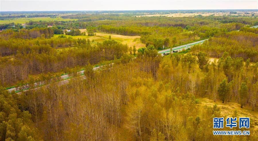 （在習近平新時代中國特色社會主義思想指引下&mdash;&mdash;新時代新作為新篇章&middot;習近平總書記關切事&middot;圖文互動）（3）綠意，在黃沙中鋪展&mdash;&mdash;我國防沙治沙紀實