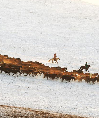 中國馬都&mdash;錫林郭勒2017冰雪那達慕