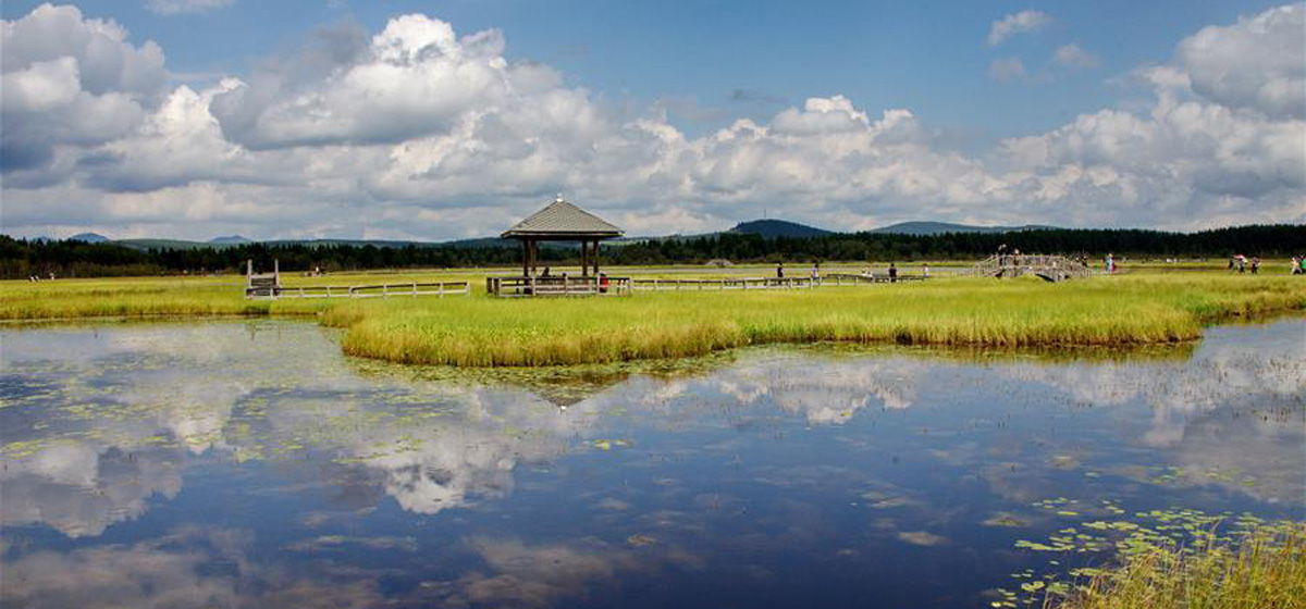 那一抹綠色，走進(jìn)越來(lái)越多人心里&mdash;&mdash;河北塞罕壩續(xù)寫新時(shí)代綠色傳奇