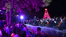 校園里的&ldquo;森林音樂會&rdquo;