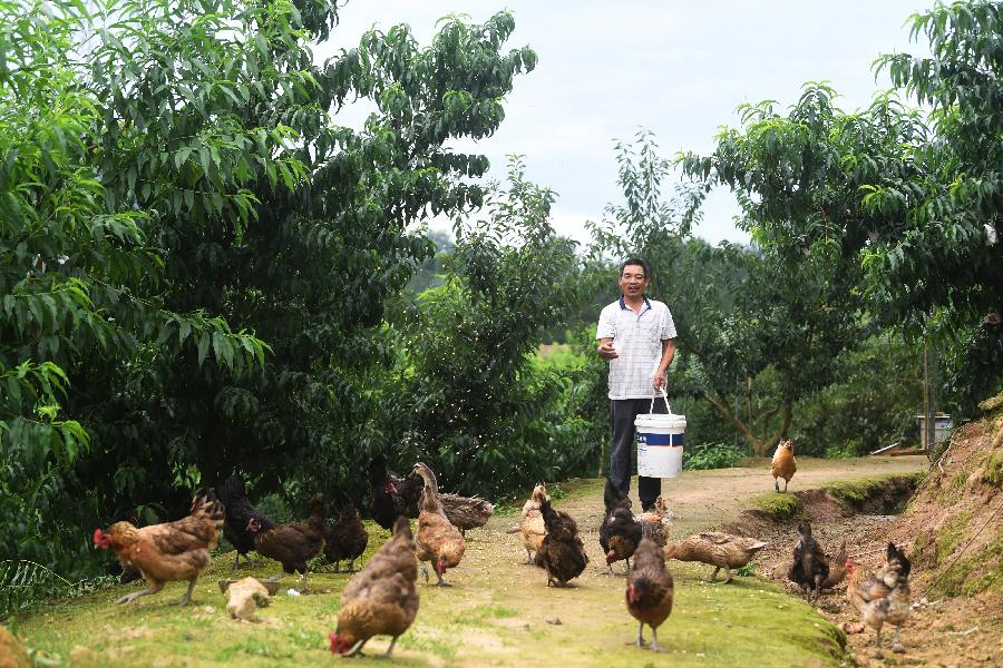 重慶萬州：產業助脫貧