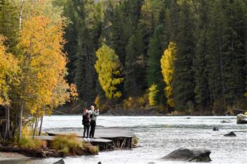 新疆旅游業&ldquo;回暖&rdquo; 阿勒泰秋季旅游升溫加速
