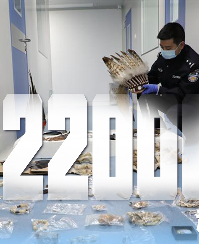 抗疫有&ldquo;法&rdquo;，就是這么給力！