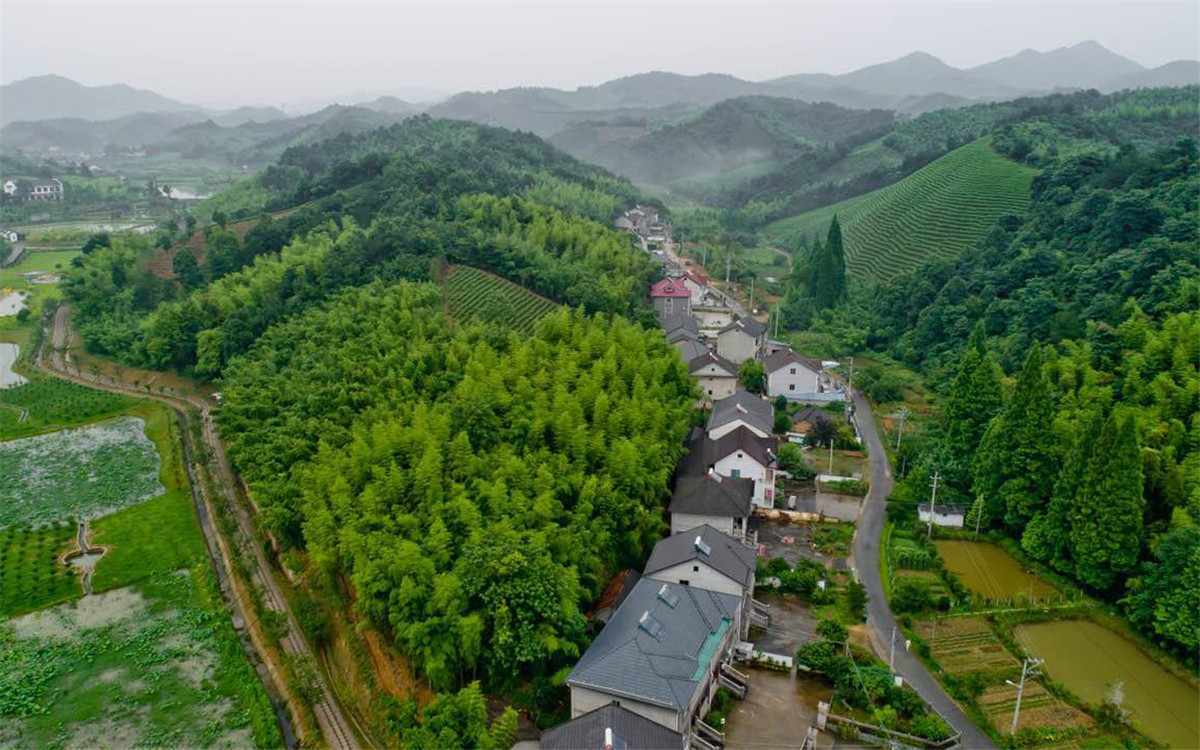 從2003年起，浙江省開展了&ldquo;千村示范、萬村整治&rdquo;工程