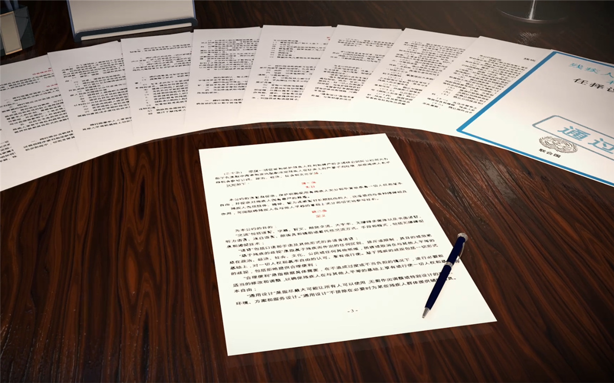 2006年12月，《殘疾人權利公約》在聯合國大會獲得通過