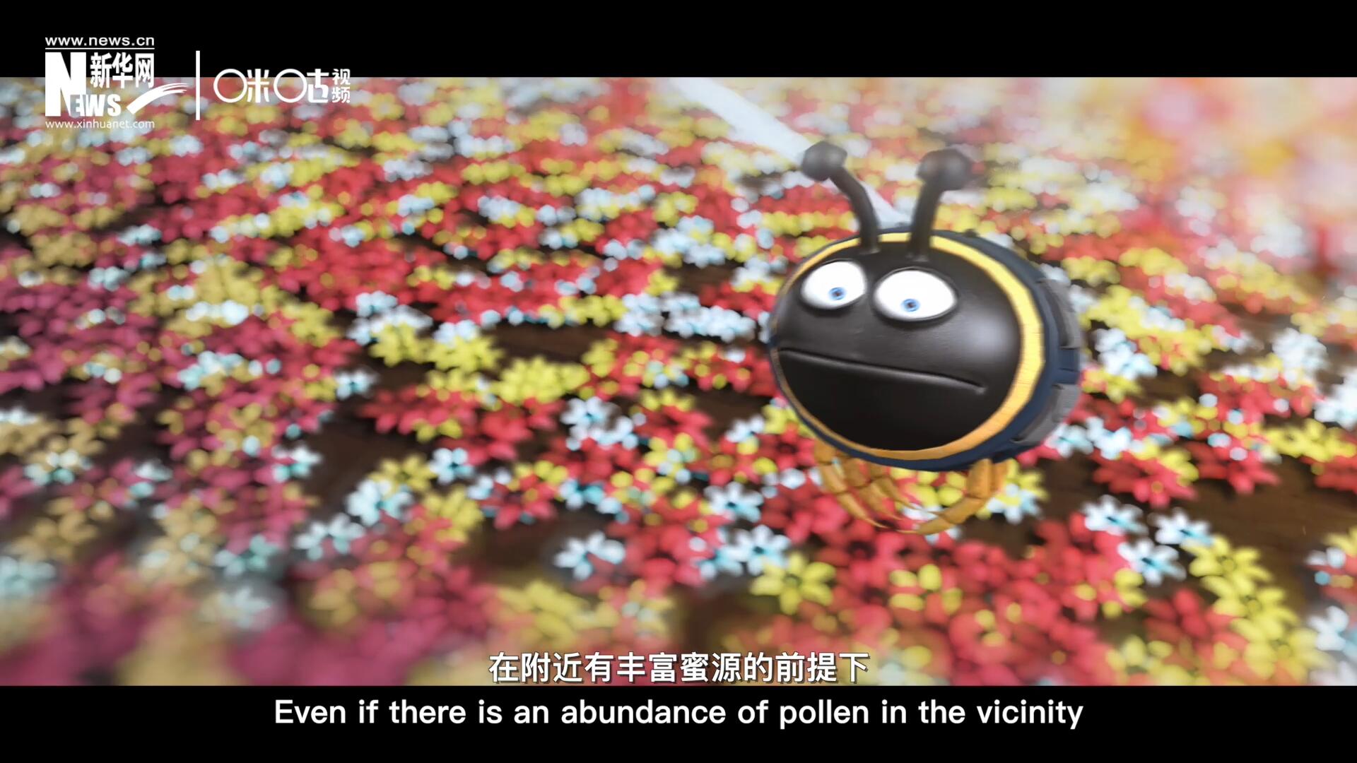 你知道一只蜜蜂采一公斤蜜有多辛苦嗎？據(jù)統(tǒng)計(jì)，在附近有豐富蜜源的前提下，一只蜜蜂大約需要飛行四萬(wàn)千米